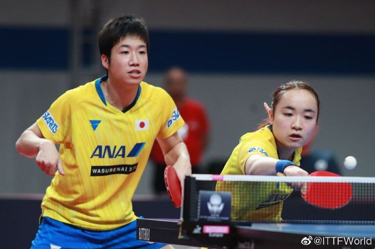 顽强的信念 顽强的信念